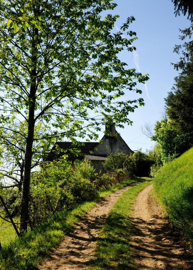 Le Bourmier Anlhiac Near Excideuil Vila Exterior foto