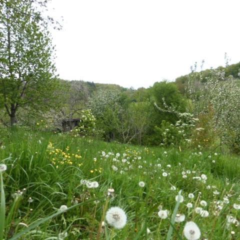 Le Bourmier Anlhiac Near Excideuil Vila Exterior foto